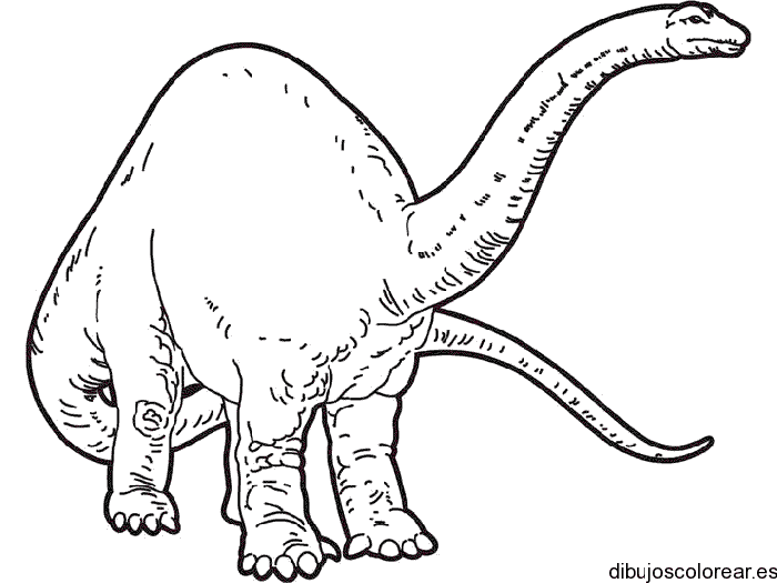 Dibujo de un calmo dinosaurio