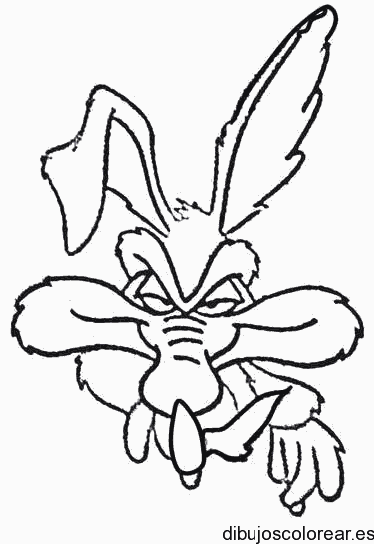Dibujo del coyote sonriendo