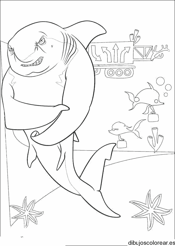 Dibujo del Atrapa tiburones