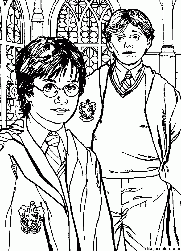 Dibujo de Harry Potter y su amigo