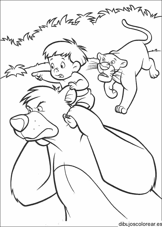 Dibujo de un oso y un león