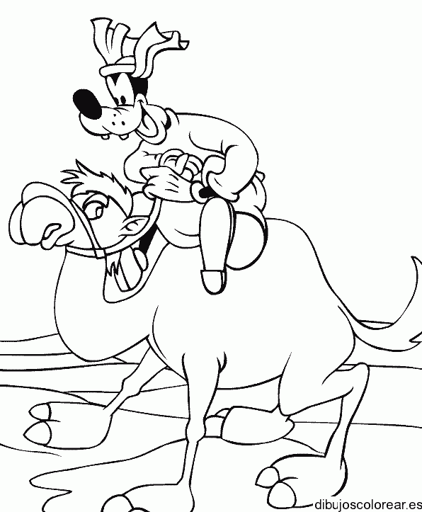 Dibujo de Pluto en un camello