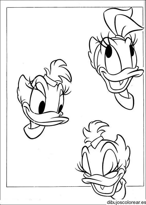 Dibujo de fotografías de Daisy Duck