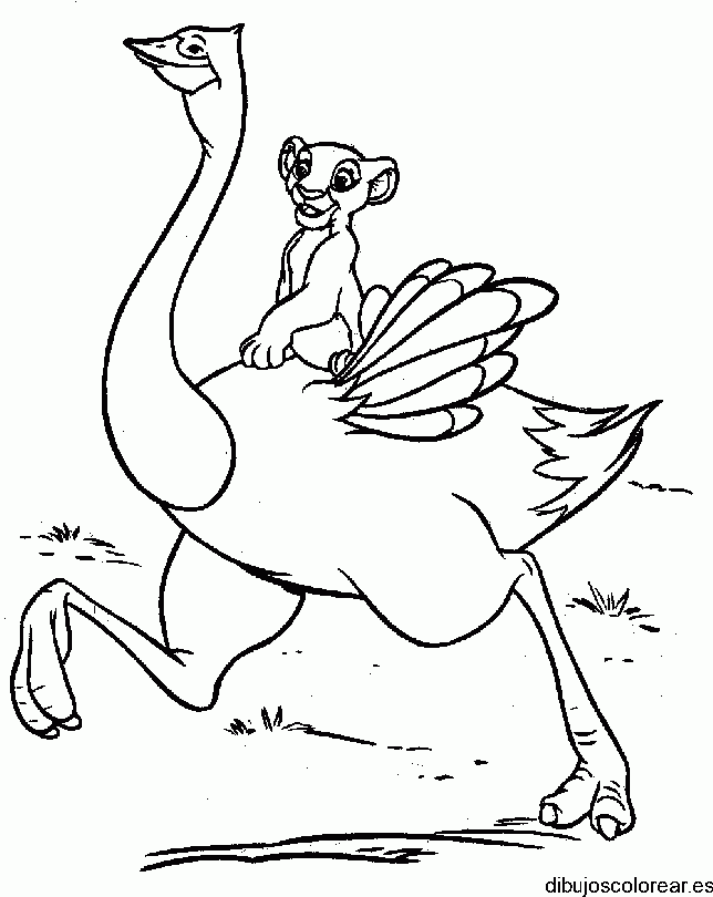 Dibujo de Simba y una avestruz