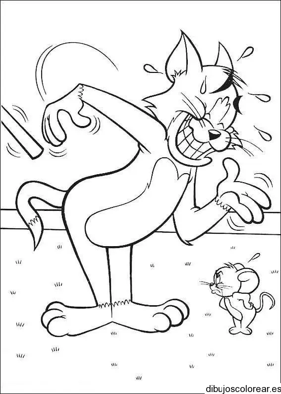 Dibujo de Tom &amp; Jerry discutiendo