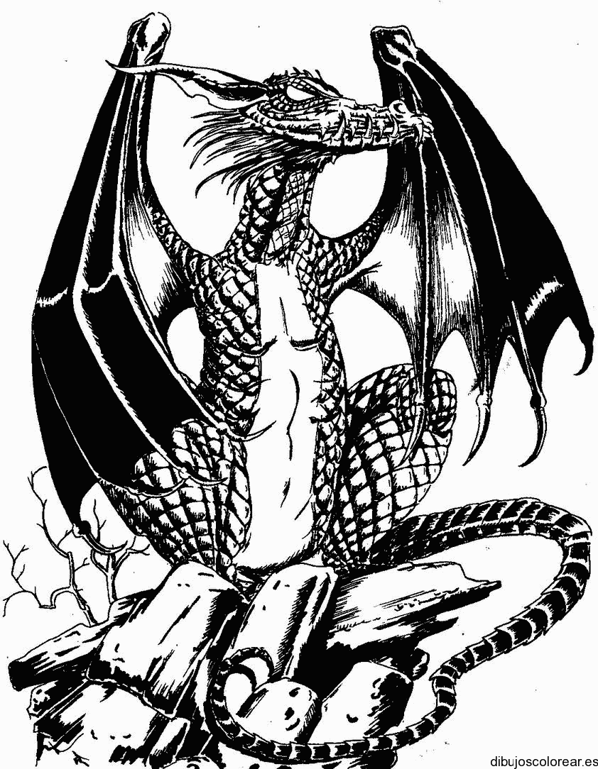 Dibujo de un dragón negro