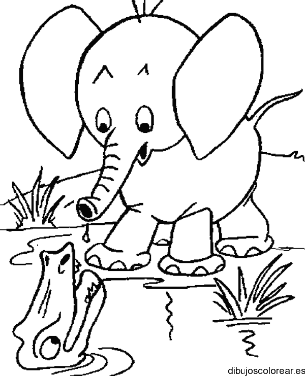 Dibujo de elefante bebe