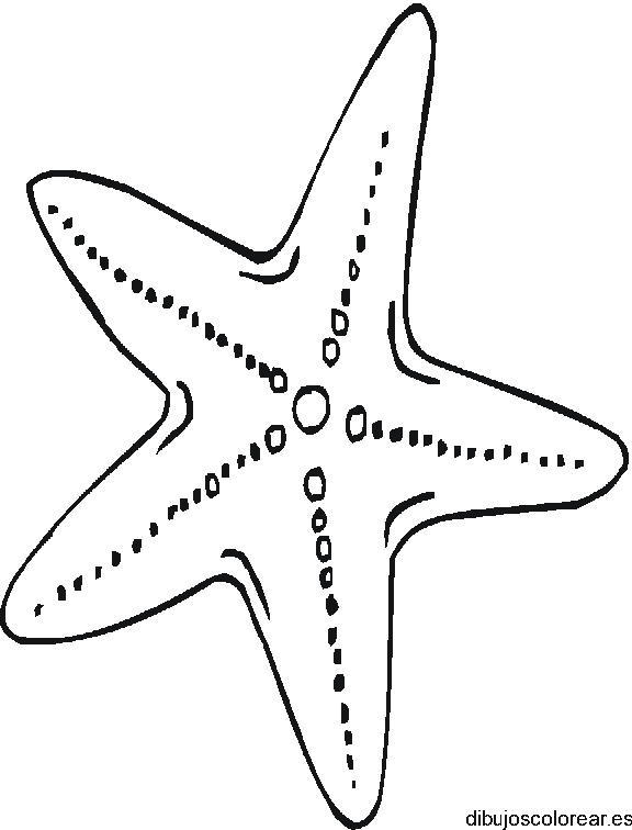 Dibujo de estrella de mar