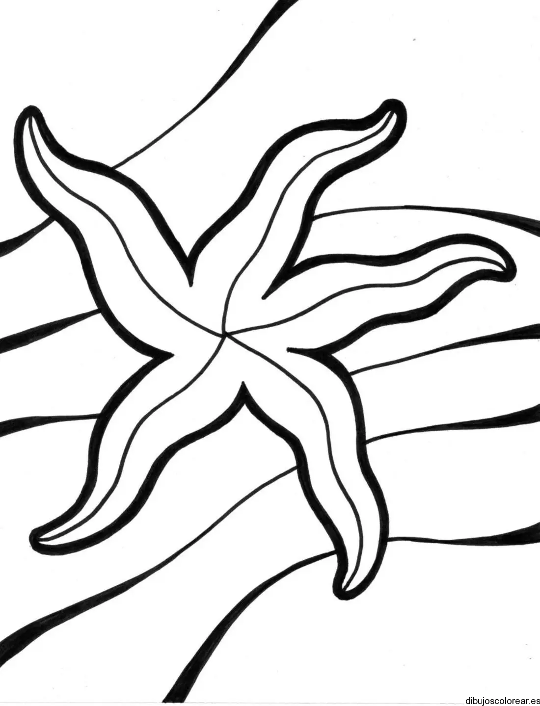 Dibujo de una estrella de mar 
