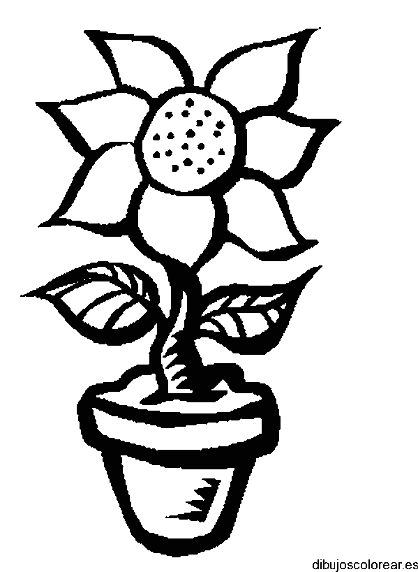 Dibujo de un girasol