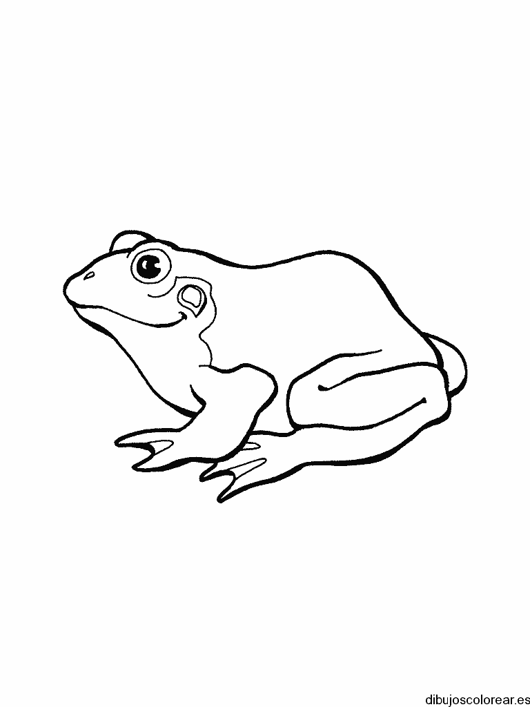 Dibujo de una rana pequeña