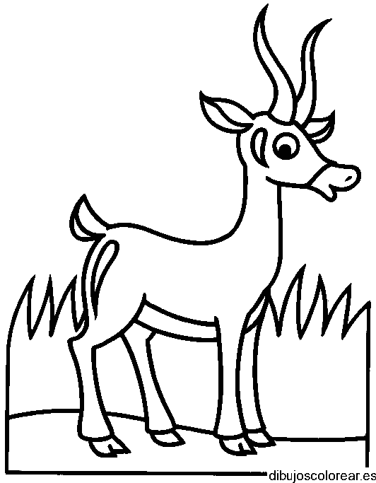 Dibujo de un cervatillo en un cuadro