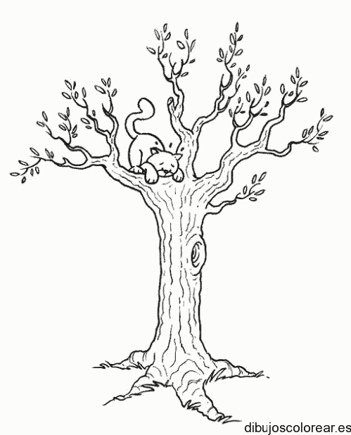 Dibujo de un gato sobre un árbol