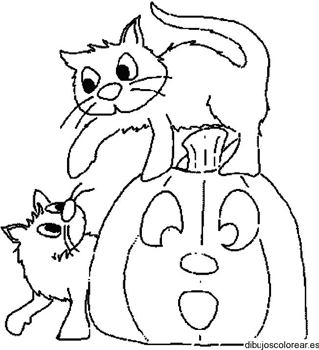Dibujo de dos gatos y una calabaza
