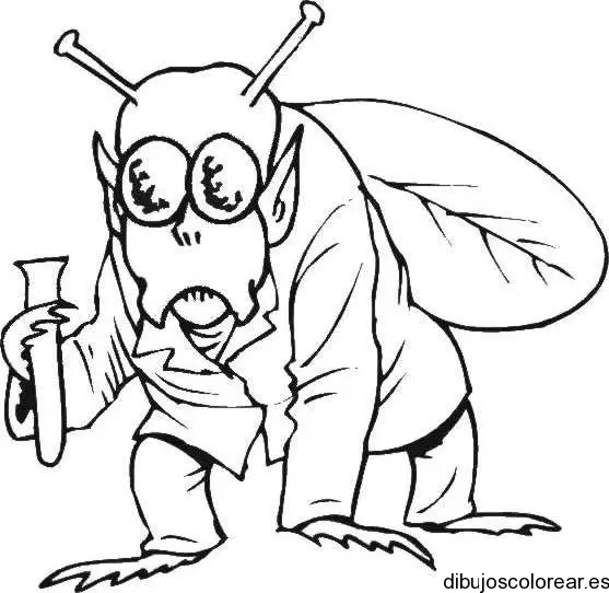 Dibujo de una mosca disfrazada 