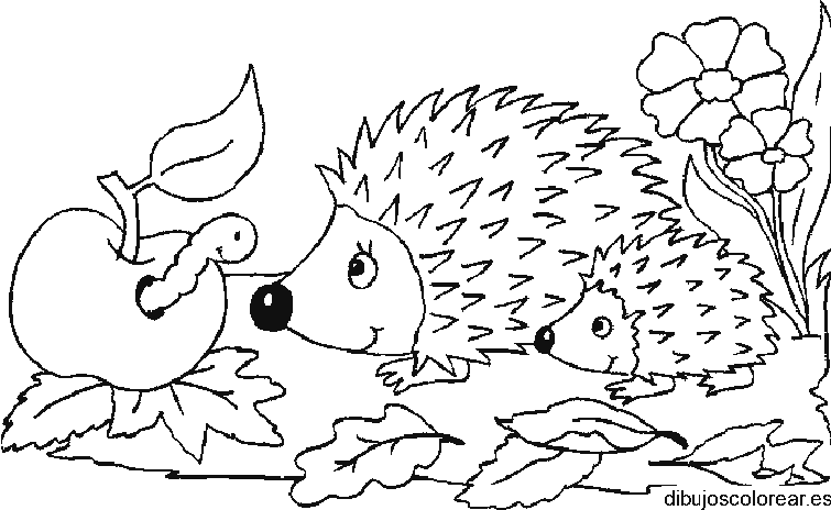 Dibujo de erizos y un gusano