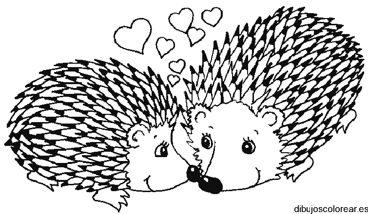 Dibujo de una pareja de erizos