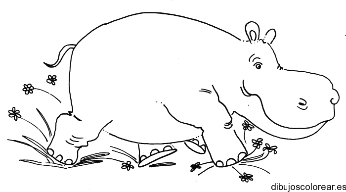 Dibujo de un hipópotamo sonriendo