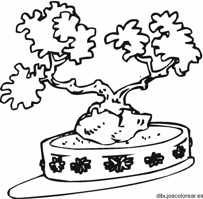 Dibujo de un árbol bonsái 