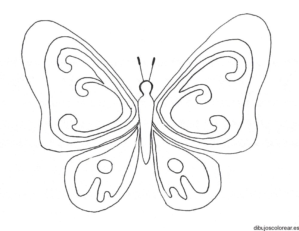Una mariposa