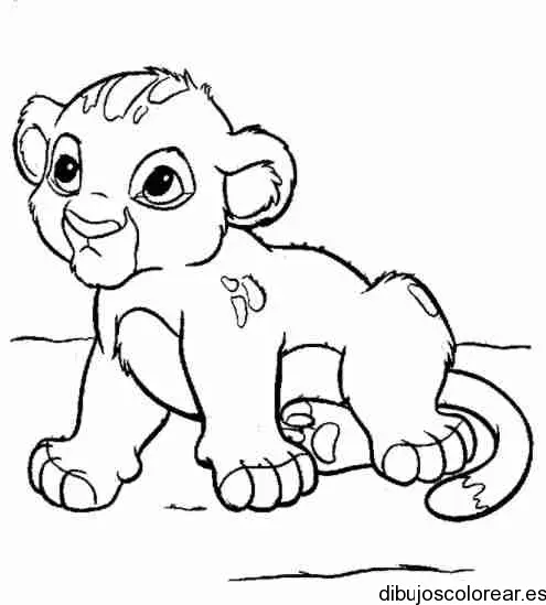 Dibujo de un cachorro de león