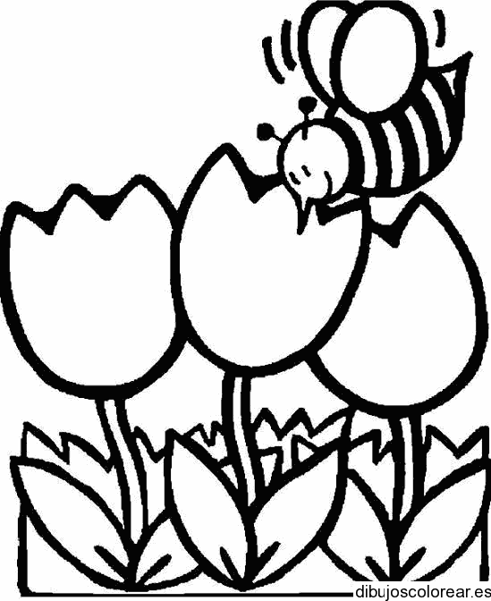 Mariposa y flores