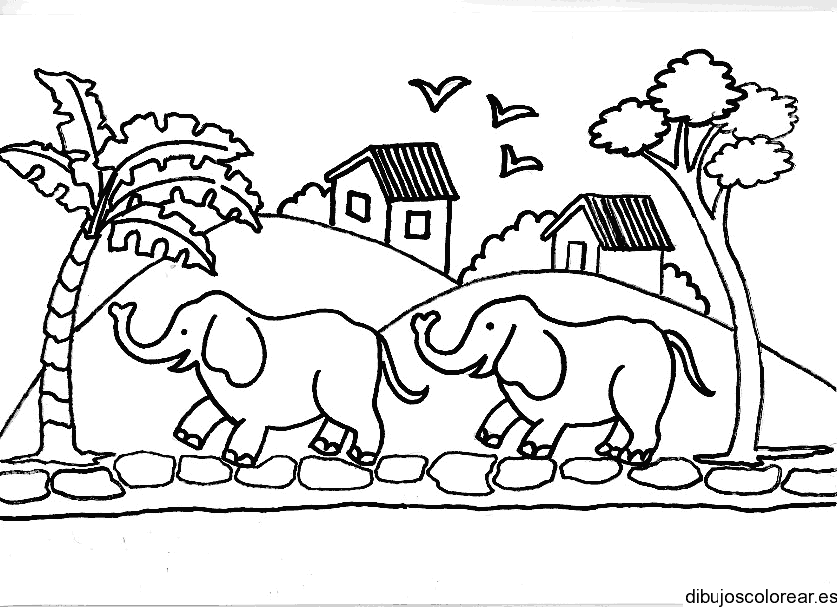 Dibujo de dos elefantes