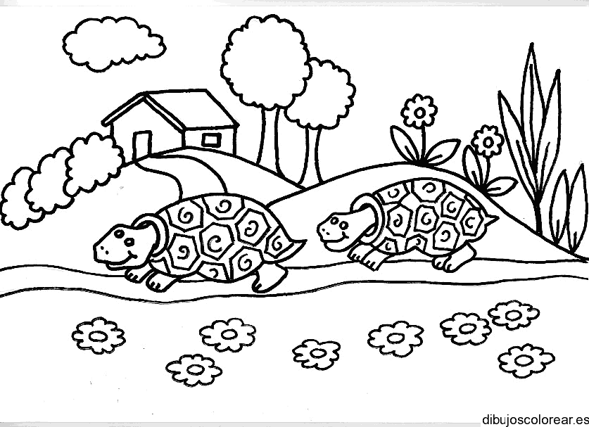 Dibujo de dos tortugas en un jardin