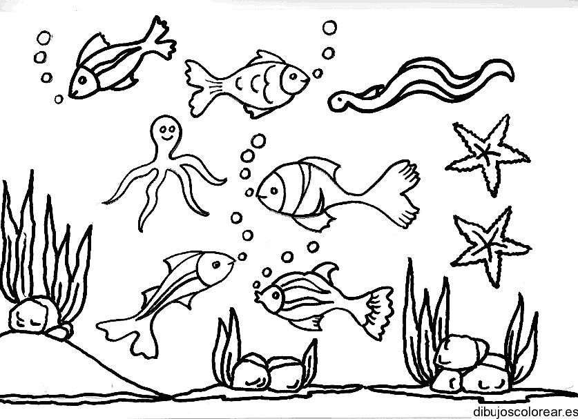 Dibujo de animales marinos