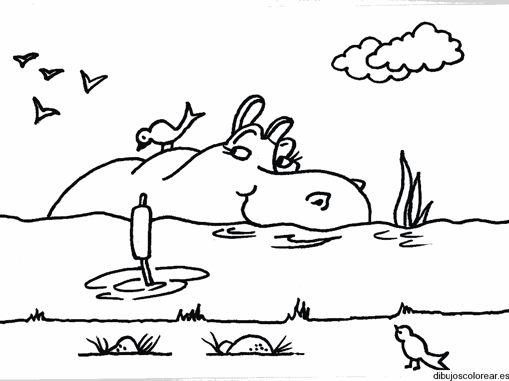 Dibujo de un hipópotamo y un ave