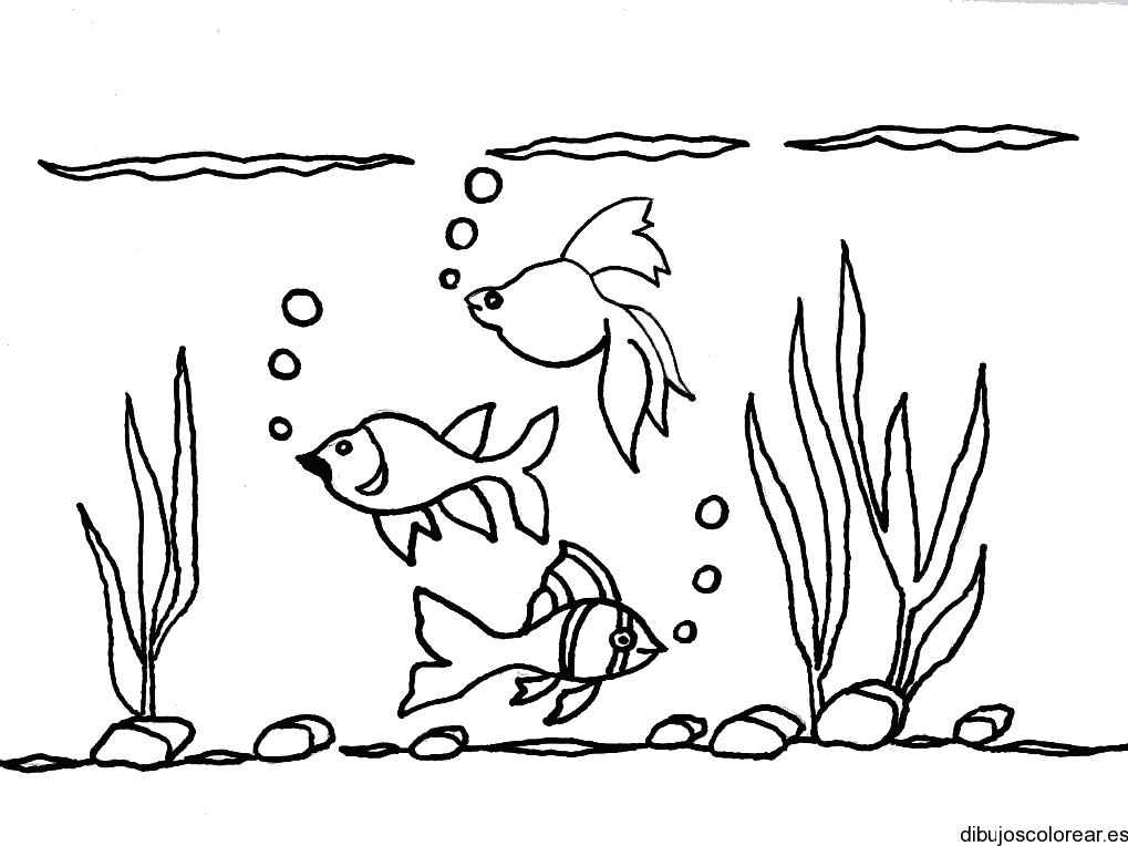 Dibujo con tres peces