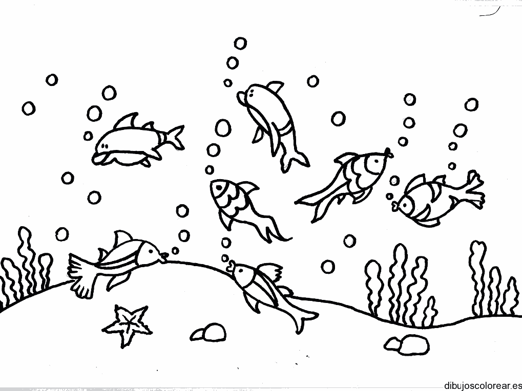 Dibujo de un banco de peces
