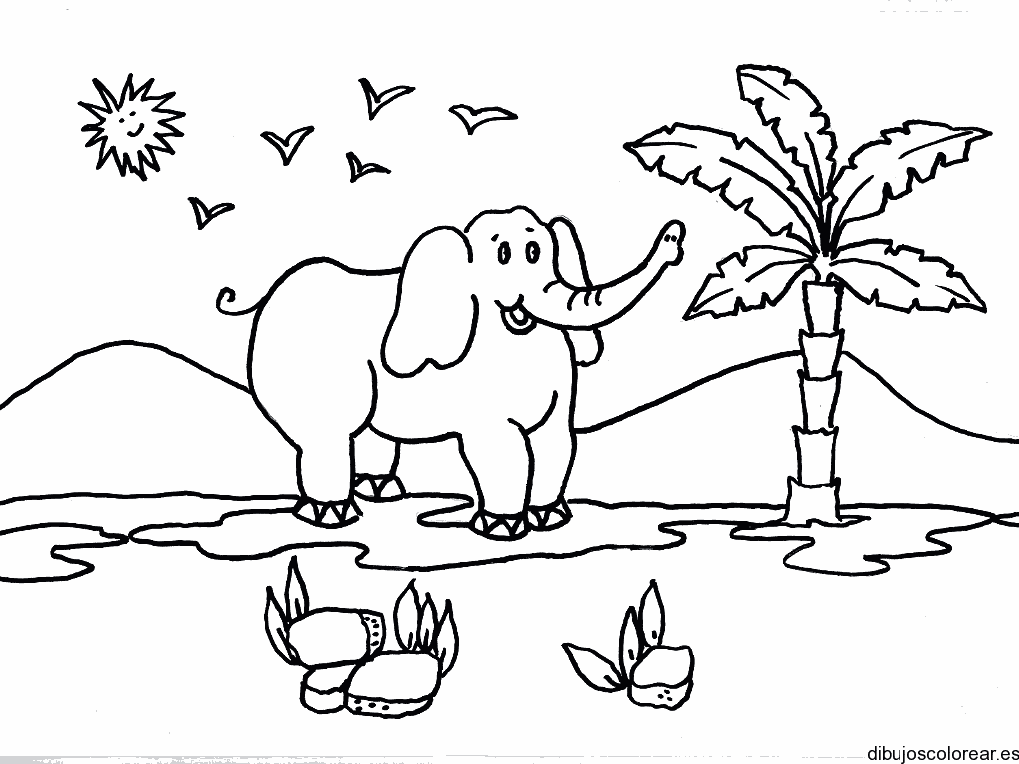 Dibujo de un elefante y una palmera