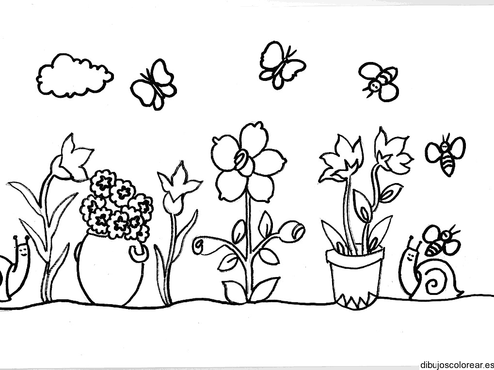 Dibujo de maceteros y flores