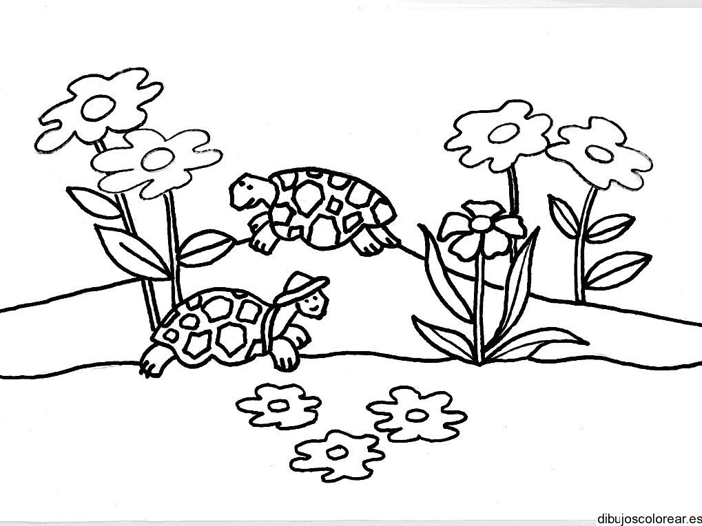 Dibujo de tortugas entre las flores