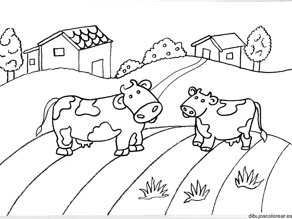 Dibujo de dos vacas en un camino