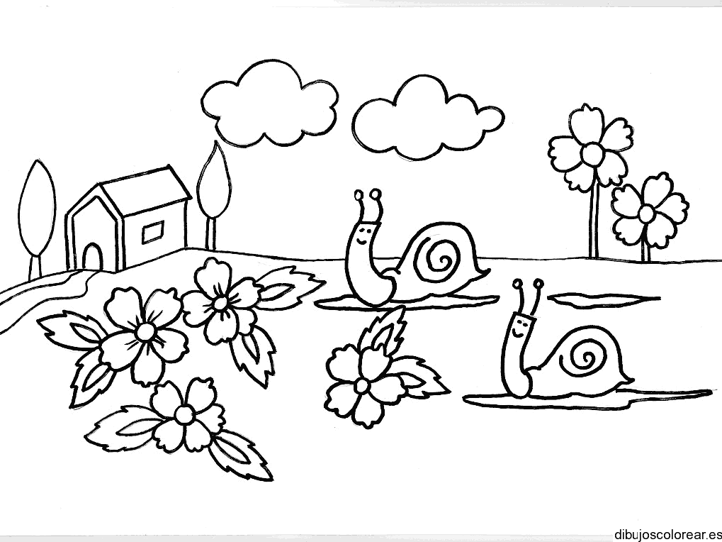 Dibujos de caracoles en el jardín
