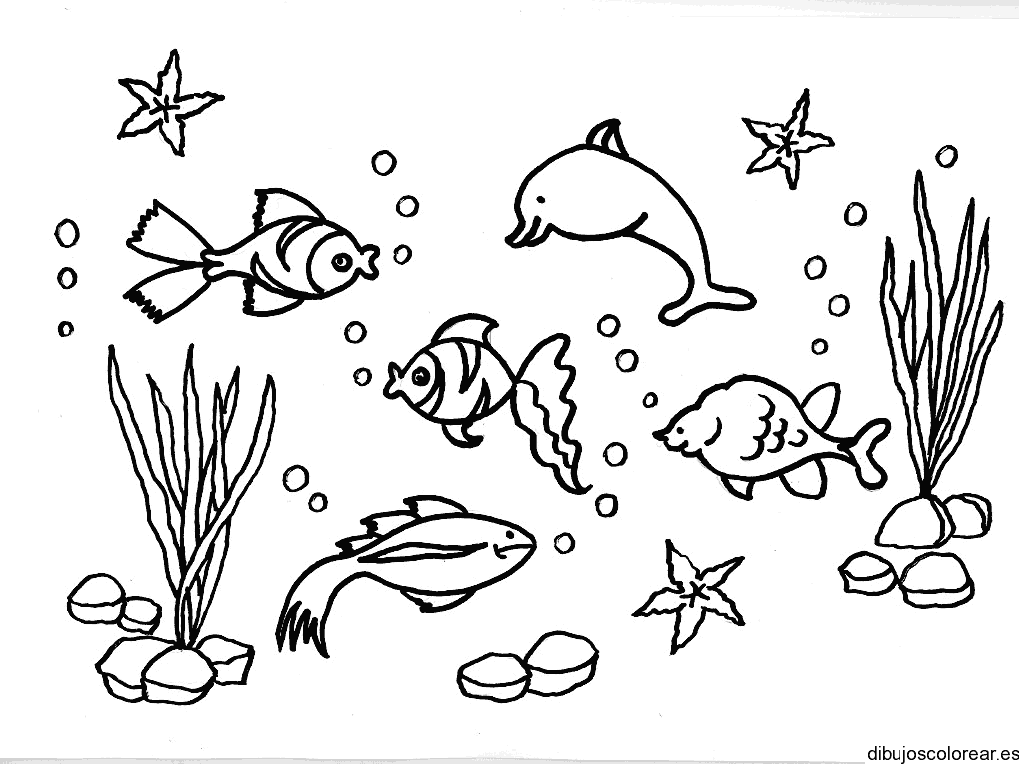 Dibujo de peces y estrellas de mar