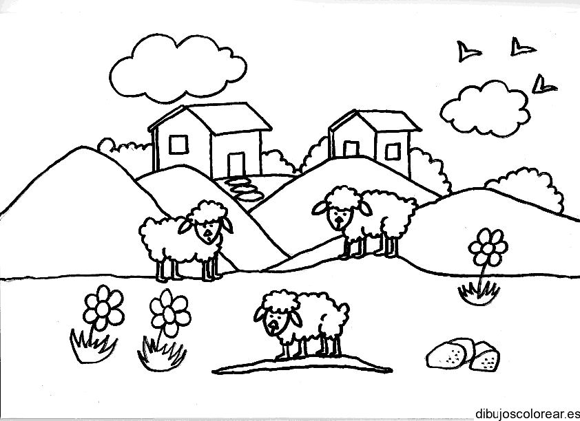 Dibujo de ovejas y flores