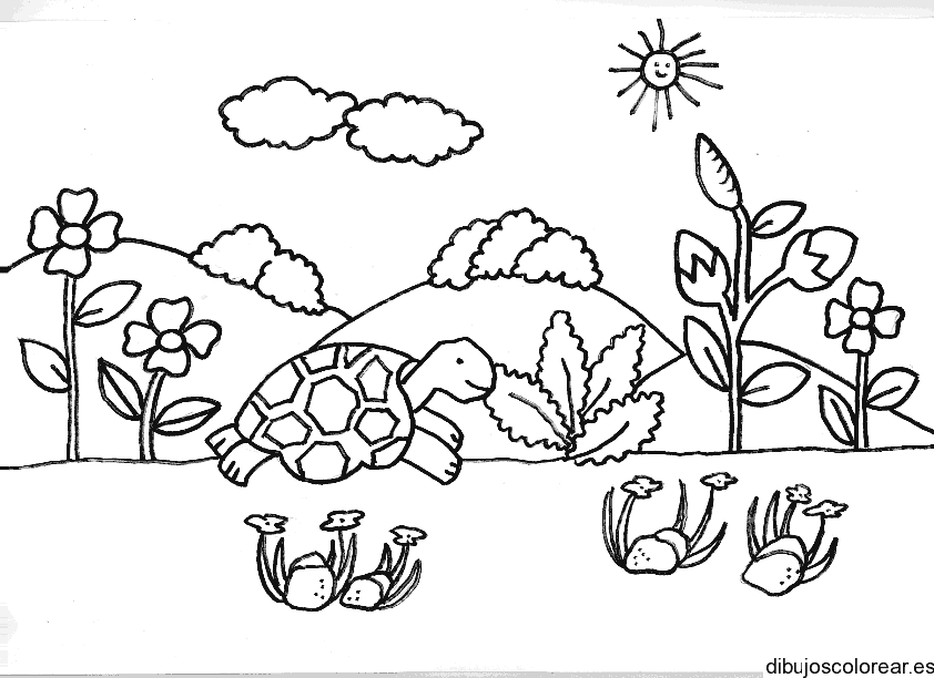 Dibujo de una tortuga jugando en el jardín