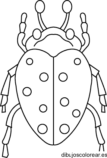 Dibujo de un insecto