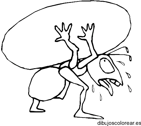 Dibujo de una hormiga
