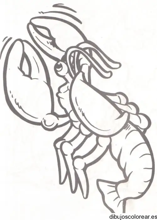 Dibujo de un camarón
