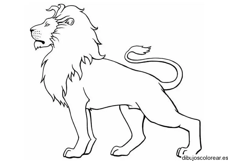Dibujo de un león airoso
