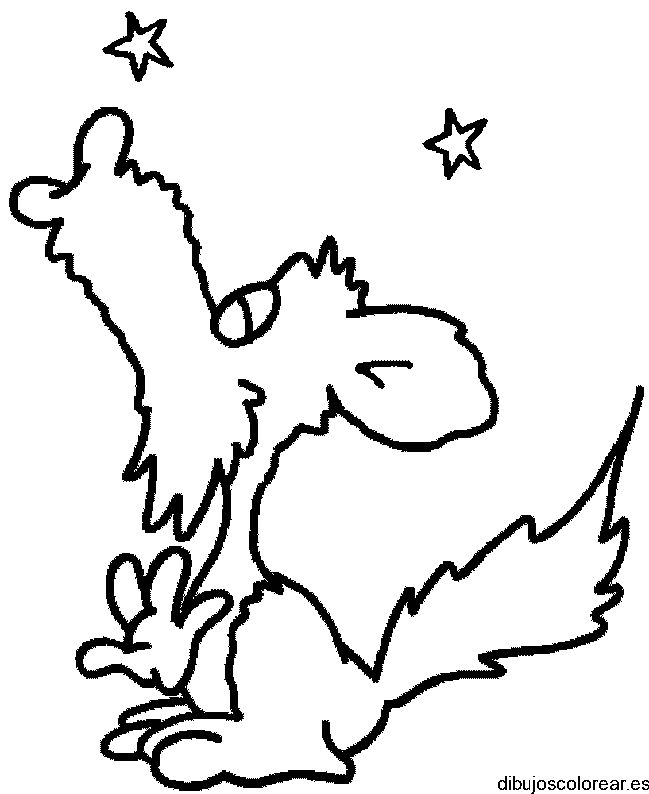 Dibujo de un lobo aullando a las estrellas
