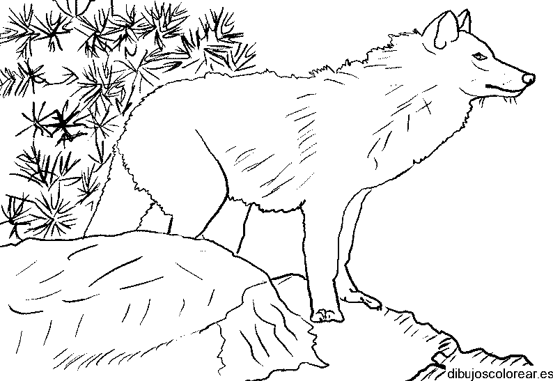 Dibujo de un lobo en una roca