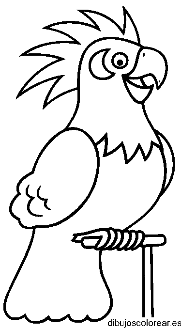 Dibujo de un loro parlanchín