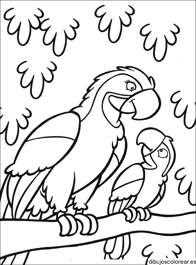 Dibujo de una mama tucan y su hijo