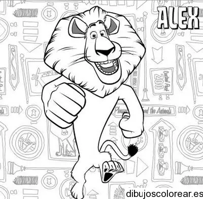 Dibujo del León Alex Madagascar