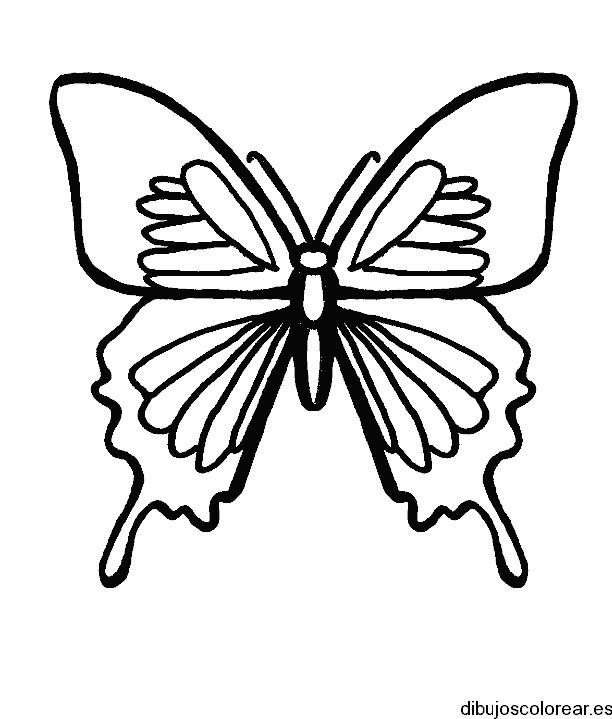 Dibujo de una mariposa pequeña